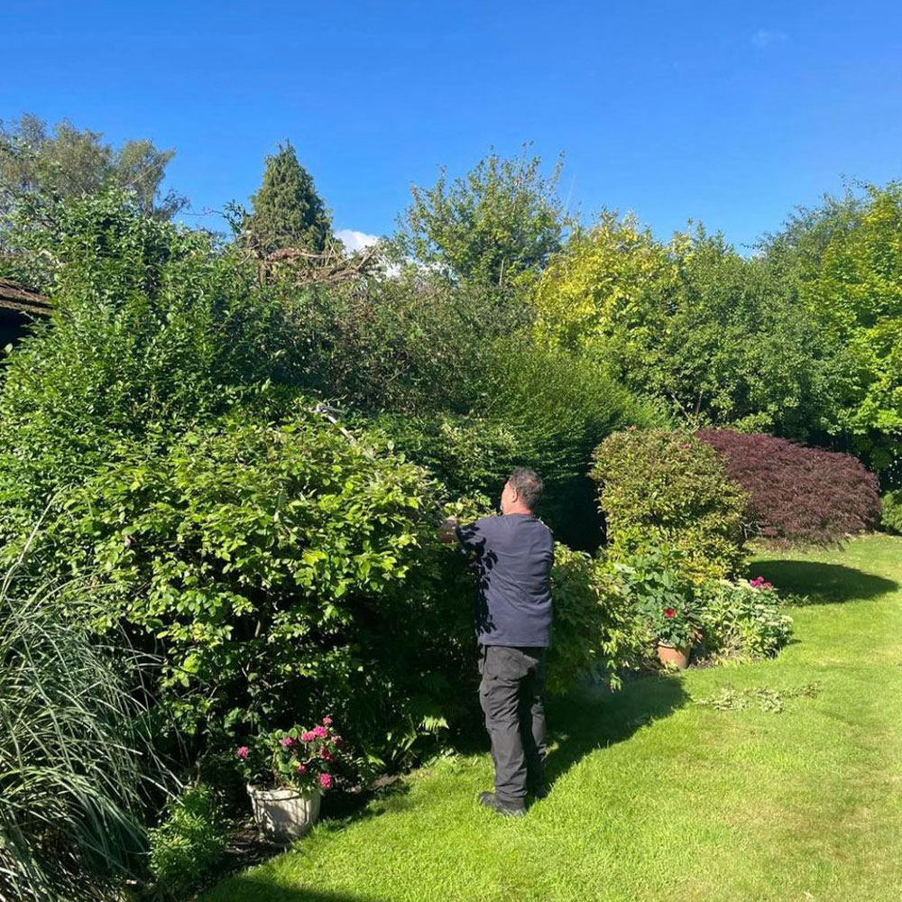 15 thmb tree and hedge care in cheshire