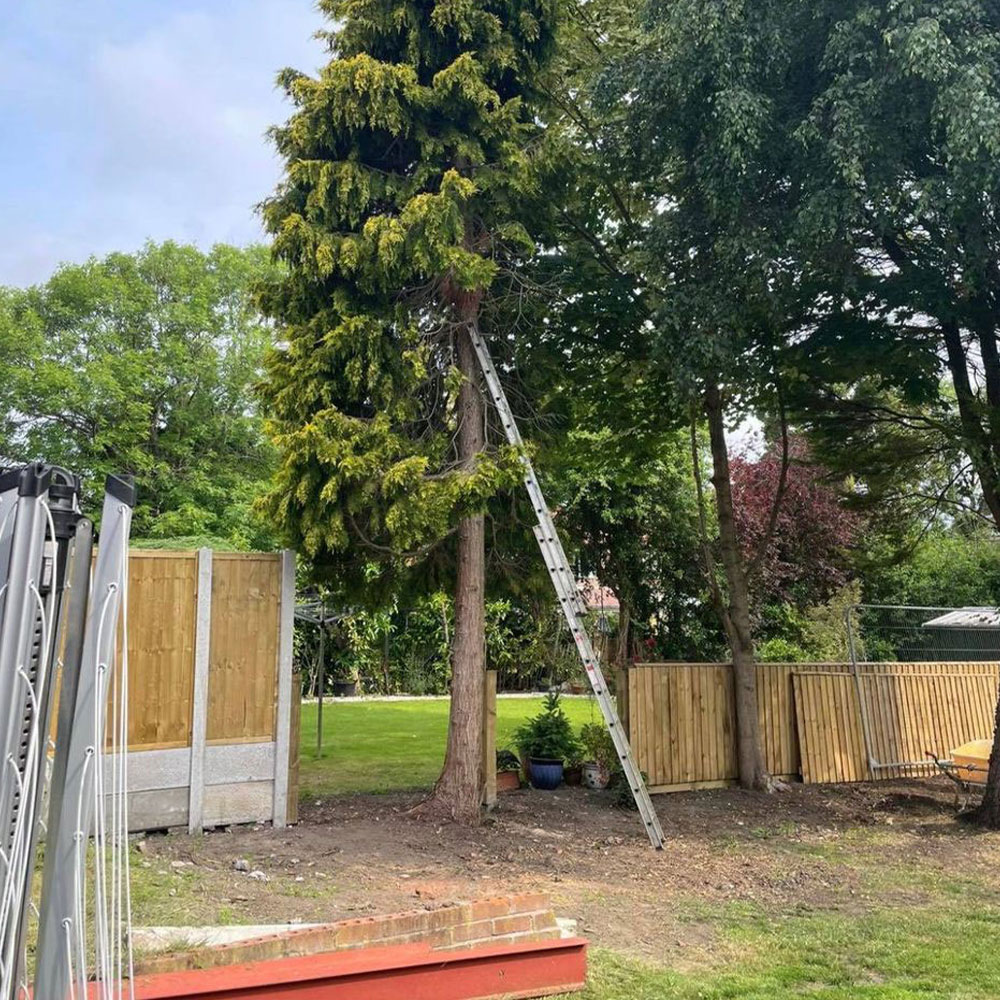 21 thmb tree and hedge care in cheshire