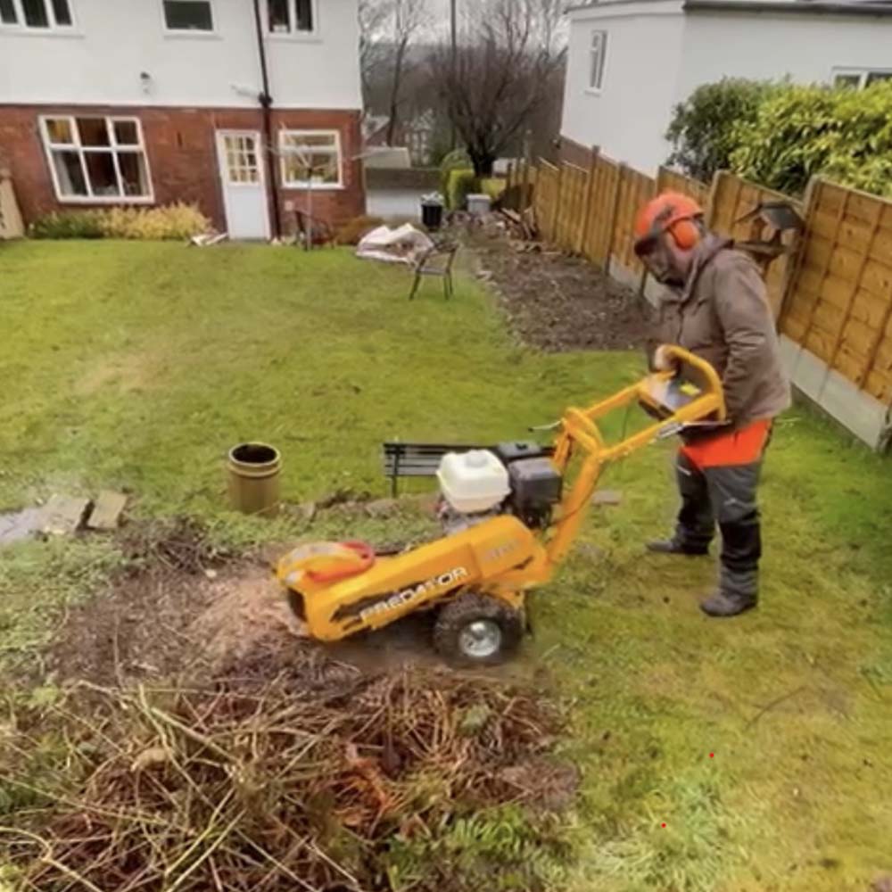 5 thmb tree and hedge care in cheshire stump removal